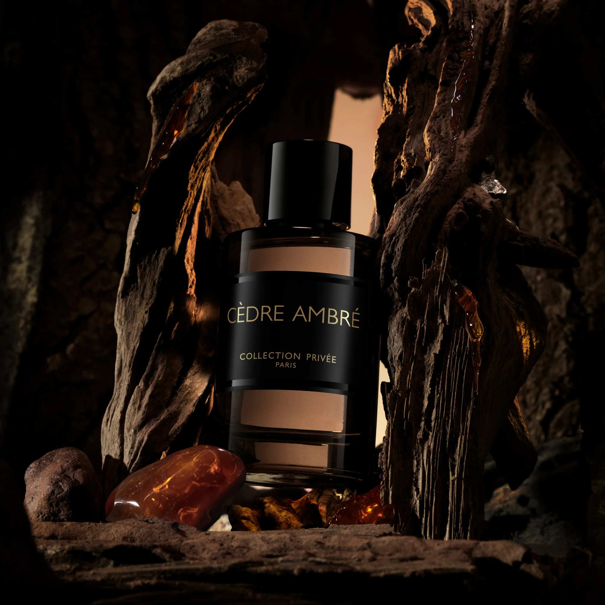 NEW FRAGRANCES